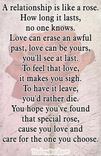 A relationship is like a rose. How long it lasts, no one knows. Love can erase an awful past, love can be yours, you'll see at last. To feel that love, it makes you sigh. To have it leave, you'd rather die. You hope you've found that special rose, cause you love and care for the one you choose. 