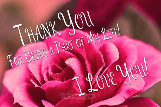 Thank You For Being A Part of My Life I Love You Messages