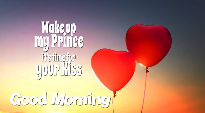 Wake up my Prince it's time for your kiss - good morning messages for him