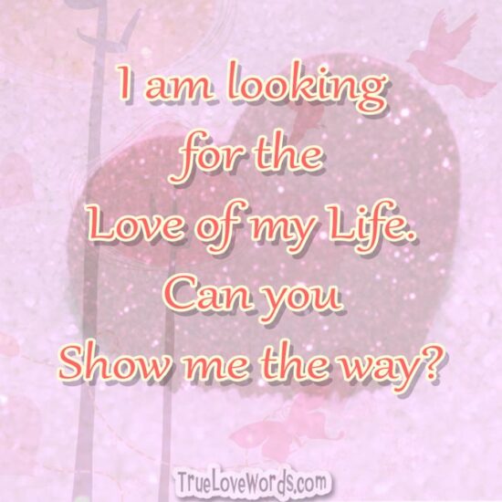 Flirty pick up lines - I am looking for the love of my life