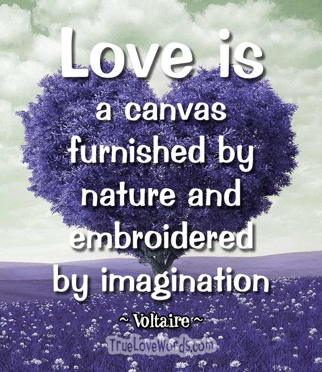 Love is a canvas furnished by nature and embroidered by imagination