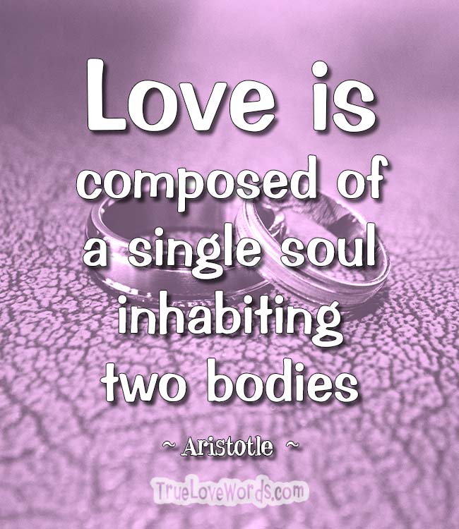 Love is composed of a single soul inhabiting two bodies