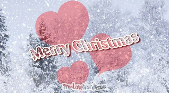 Merry Christmas Wishes