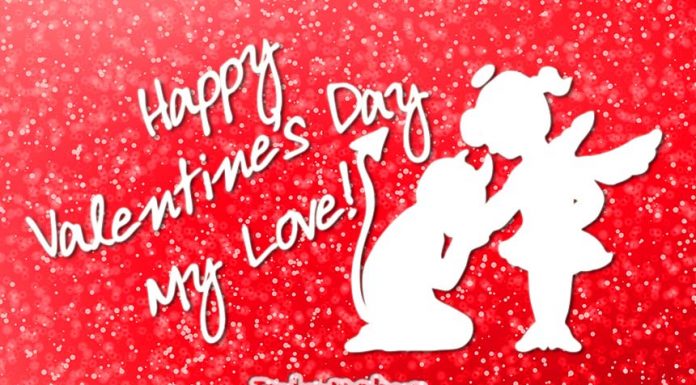 Happy Valentines Day my Love - Valentine's day wishes for girlfriend
