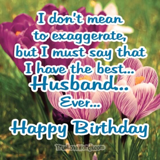 Happy birthday to the best Husband Ever - Birthday wishes for husband