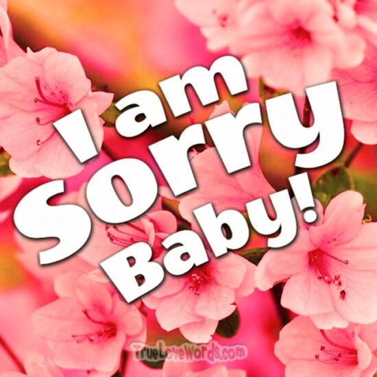 I'm sorry baby - Sorry messages