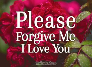 Sorry messages - Please Forgive me baby