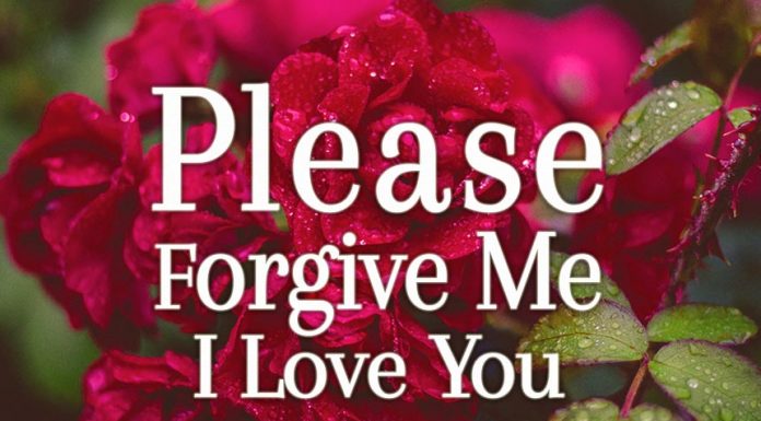 Sorry messages - Please Forgive me baby