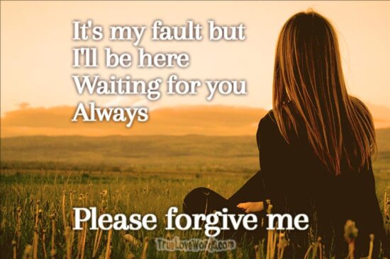 Please forgive me baby - Sorry messages