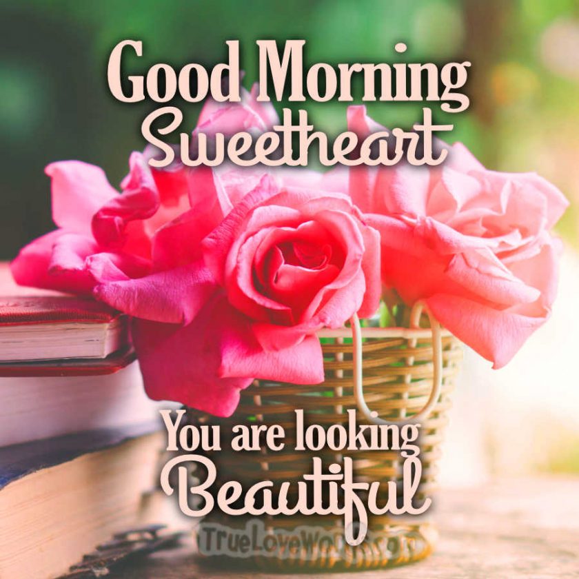 50 Sweet Good Morning Messages For Wife True Love Words