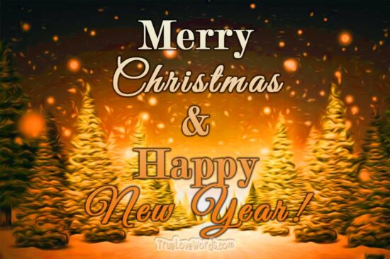 Merry Christmas Wishes for Family and Happy New Year