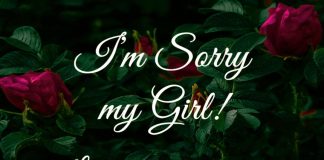 I'm sorry girl please forgive me