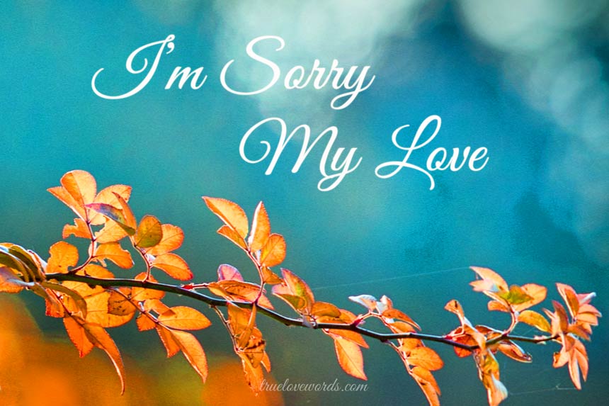 I am sorry my love - sorry messages for boyfriend