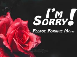Sorry messages for wife