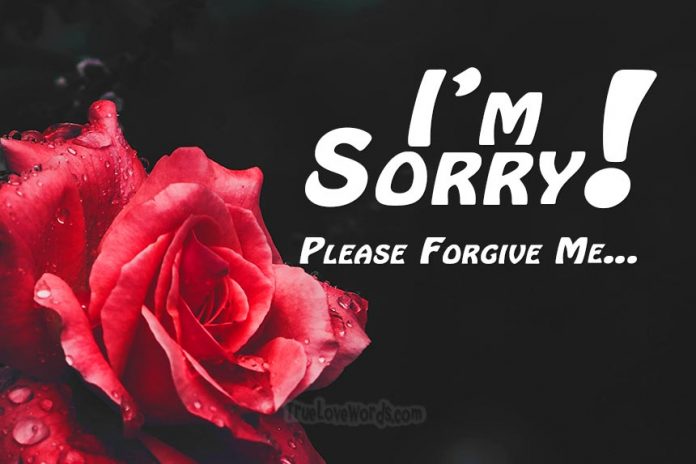 Sorry messages for wife
