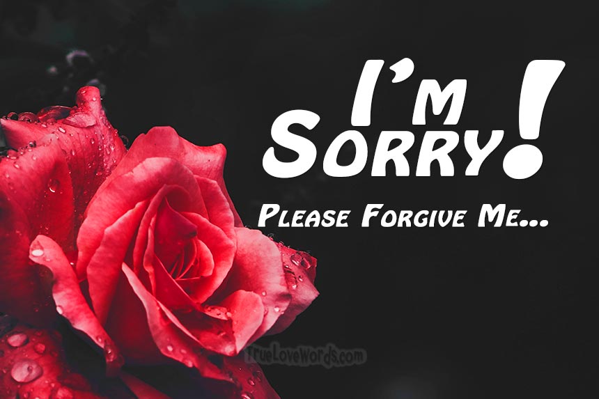 Sincere Sorry Messages And Apologies For Your Wife True Love Words