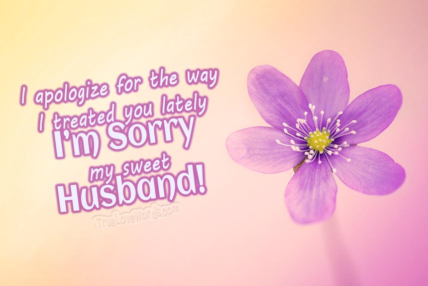 apologize message for husband