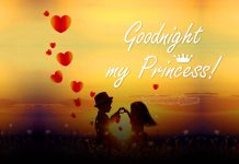 Poetic Good Night Messages For The Girl You Love