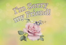 Sorry messages and apologies for friends