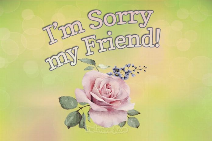 Sorry messages and apologies for friends