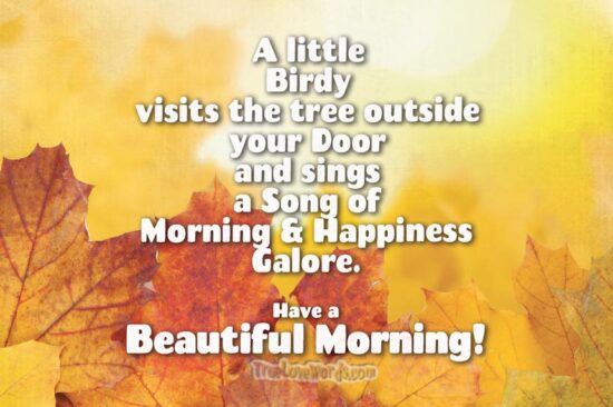 Have a Beautiful Morning