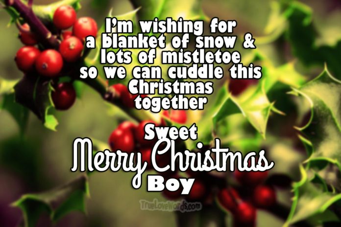 Christmas Wishes For Boyfriend - mistletoe