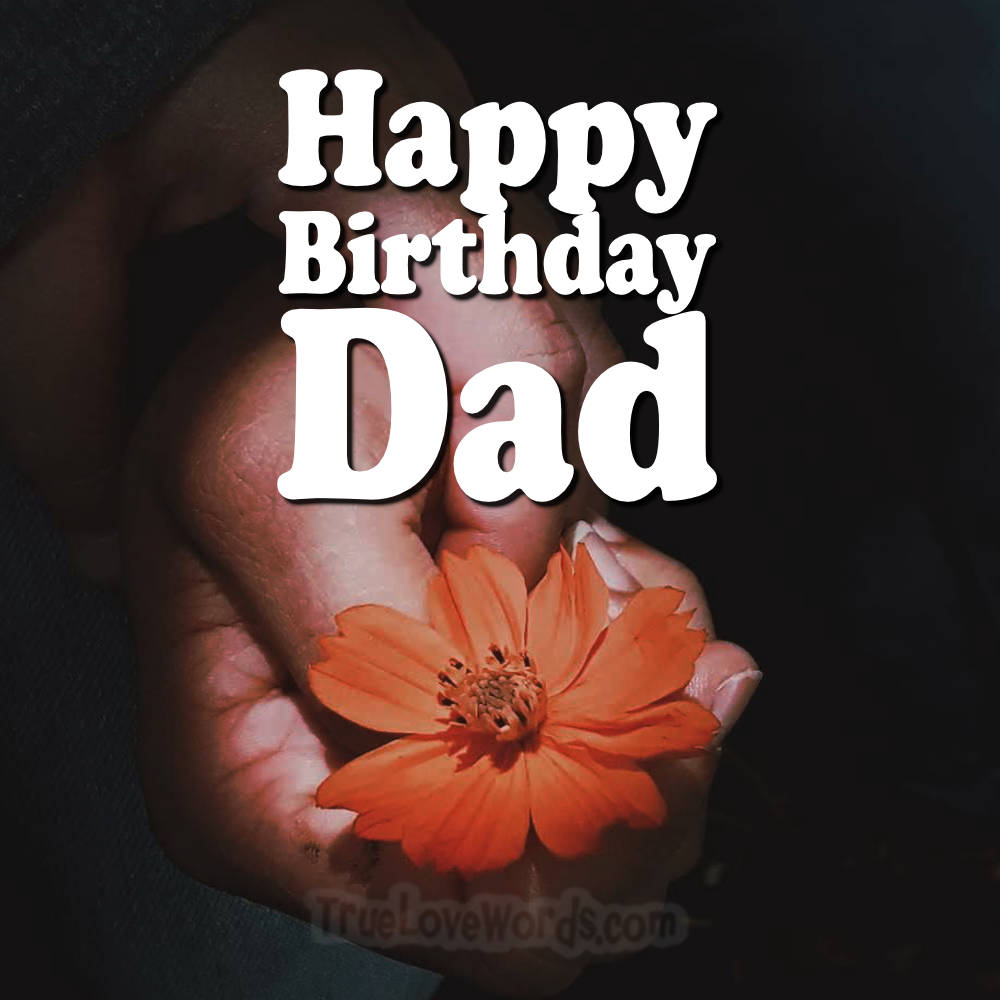 65 Happy Birthday Wishes For Dad » True Love Words