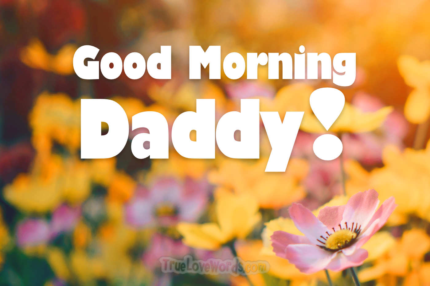 Good Morning Messages for Dad » True Love Words