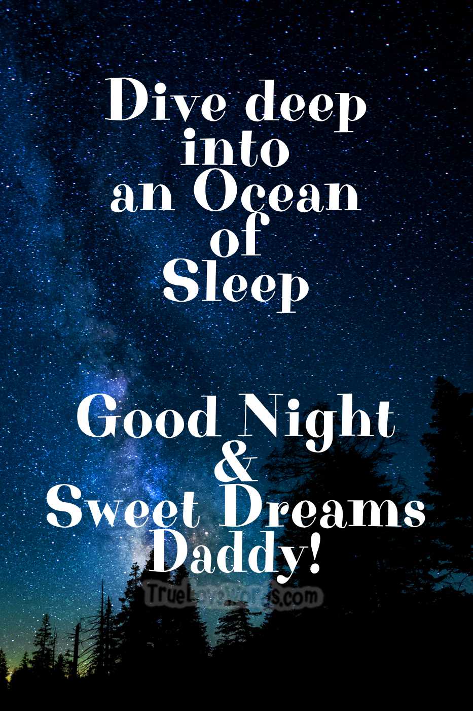 60 Sweet Good Night Wishes for Dad » True Love Words