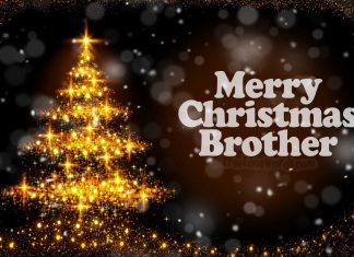 Merry Christmas Wishes for Brother