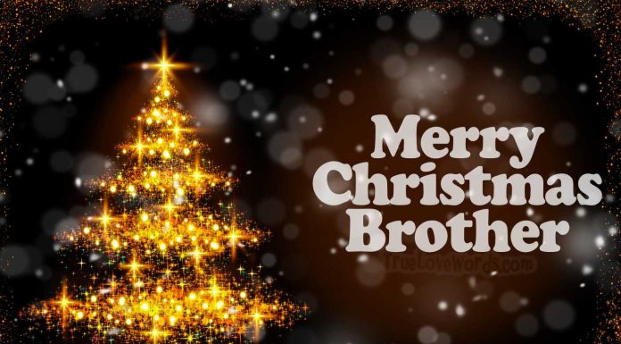 Merry Christmas Wishes for Brother